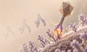 Read more about the article Virus do AI thiết kế và 3 việc nên thử trên điện thoại